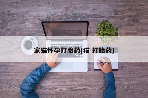 打胎药私人店联系方式保密发货,指导用药家猫怀孕打胎药(猫 打胎药)